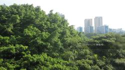 Blk 137 Jalan Bukit Merah (Bukit Merah), HDB 3 Rooms #123344102